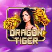 Dragon Tiger tableplus live casino